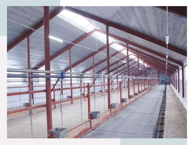 Строительство коровников в Инте от 609 руб.