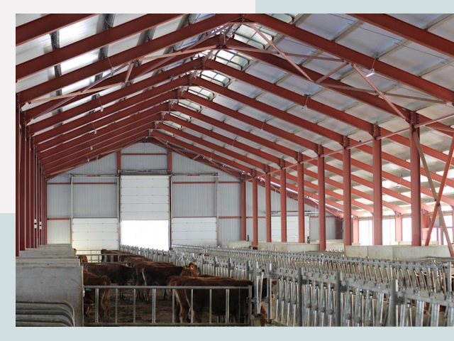 Строительство коровников в Инте