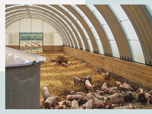 Строительство свинарников в Инте